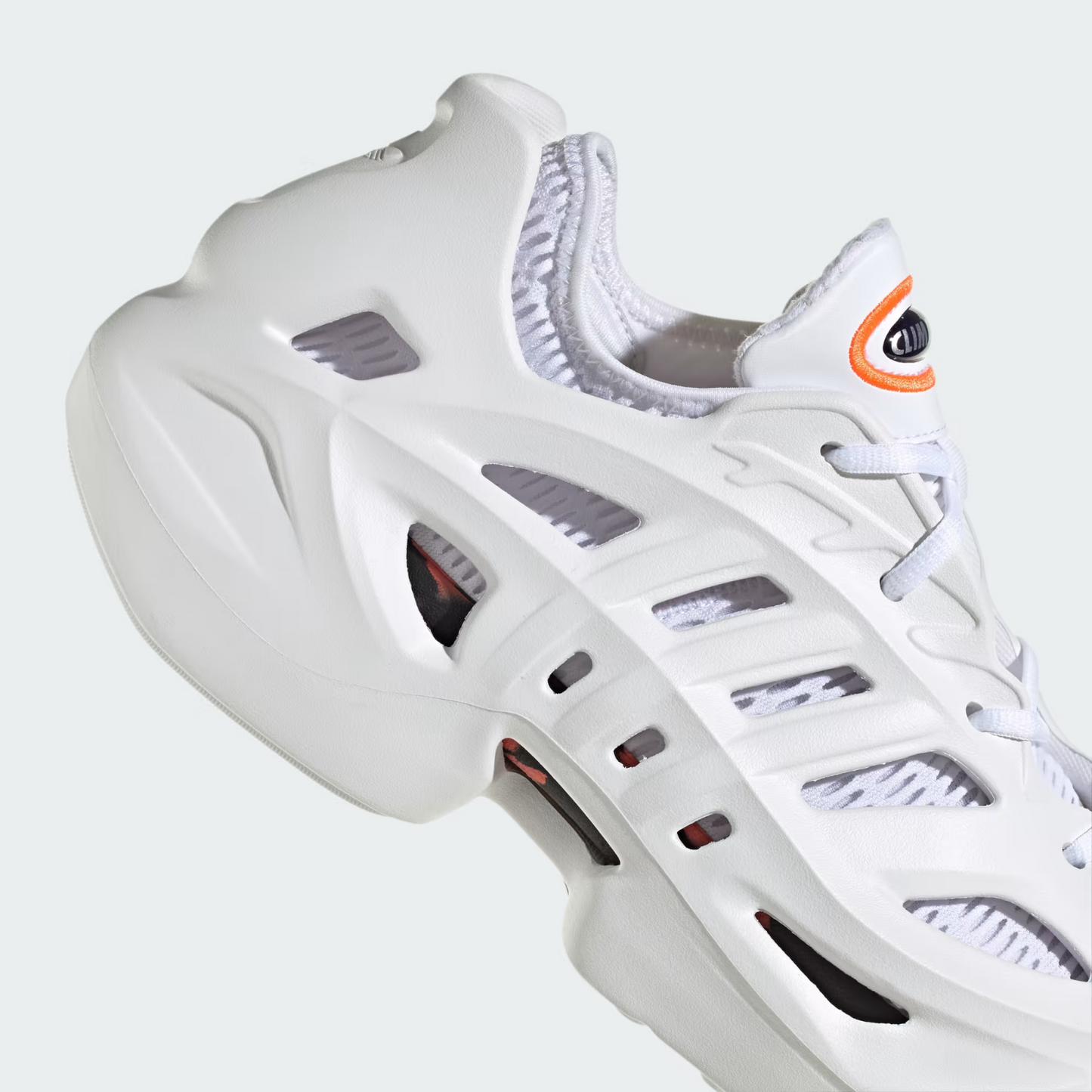 https://i.ebayimg.com/00/s/MTYwMFgxNjAw/z/F4QAAeSwfLxp7zvj/$_57.PNG?set_id=880000500F