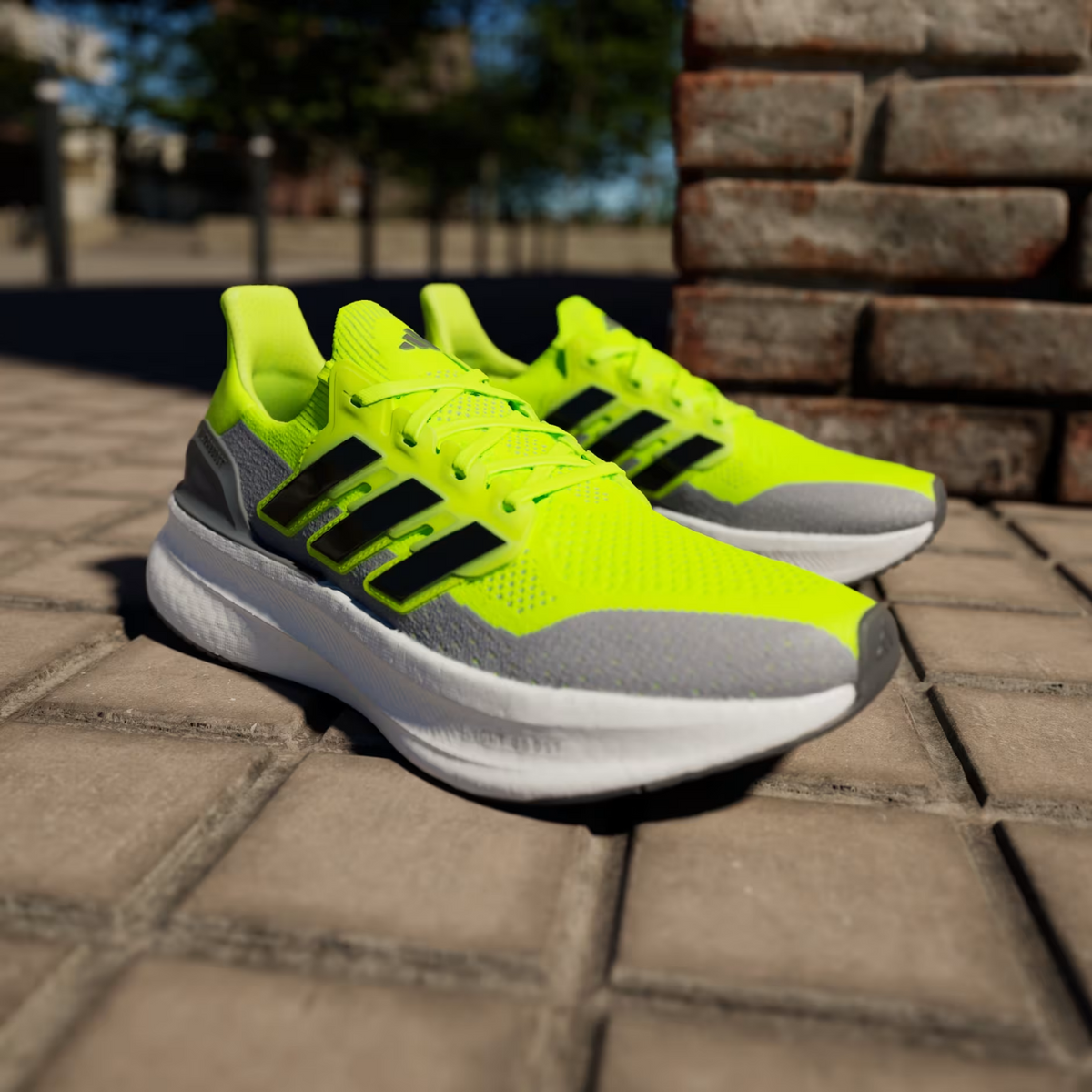 https://i.ebayimg.com/00/s/MTYwMFgxNjAw/z/AAwAAeSwXS5qrWHQ/$_57.PNG?set_id=880000500F