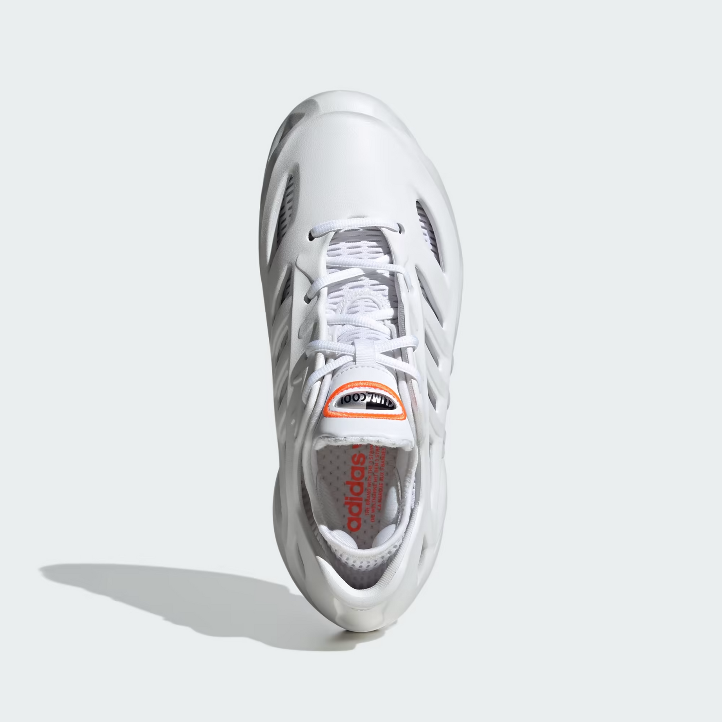 https://i.ebayimg.com/00/s/MTYwMFgxNjAw/z/x0MAAeSwPL5p7zvi/$_57.PNG?set_id=880000500F