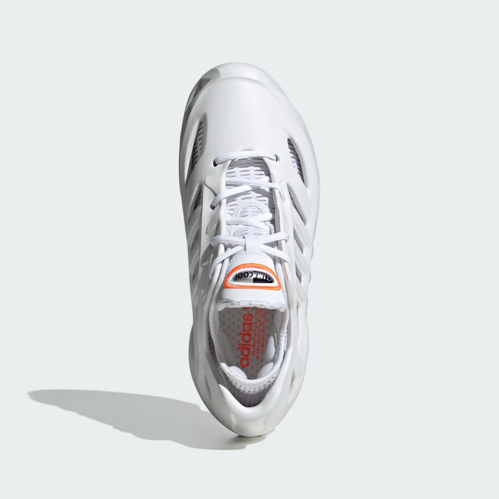 https://i.ebayimg.com/00/s/MTYwMFgxNjAw/z/x0MAAeSwPL5p7zvi/$_57.PNG?set_id=880000500F